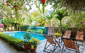 Tam Coc Viet Ha Homestay