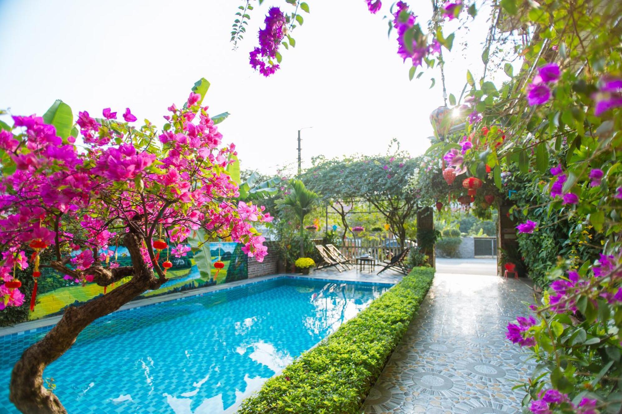 Tam Coc Viet Ha Homestay Ninh Binh Esterno foto
