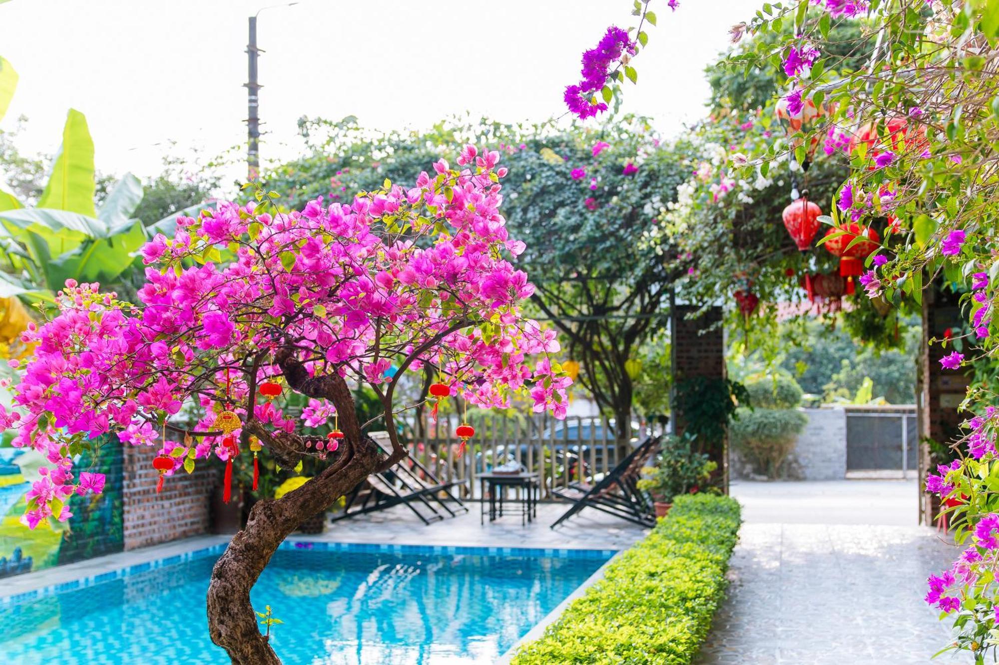 Tam Coc Viet Ha Homestay Ninh Binh Esterno foto